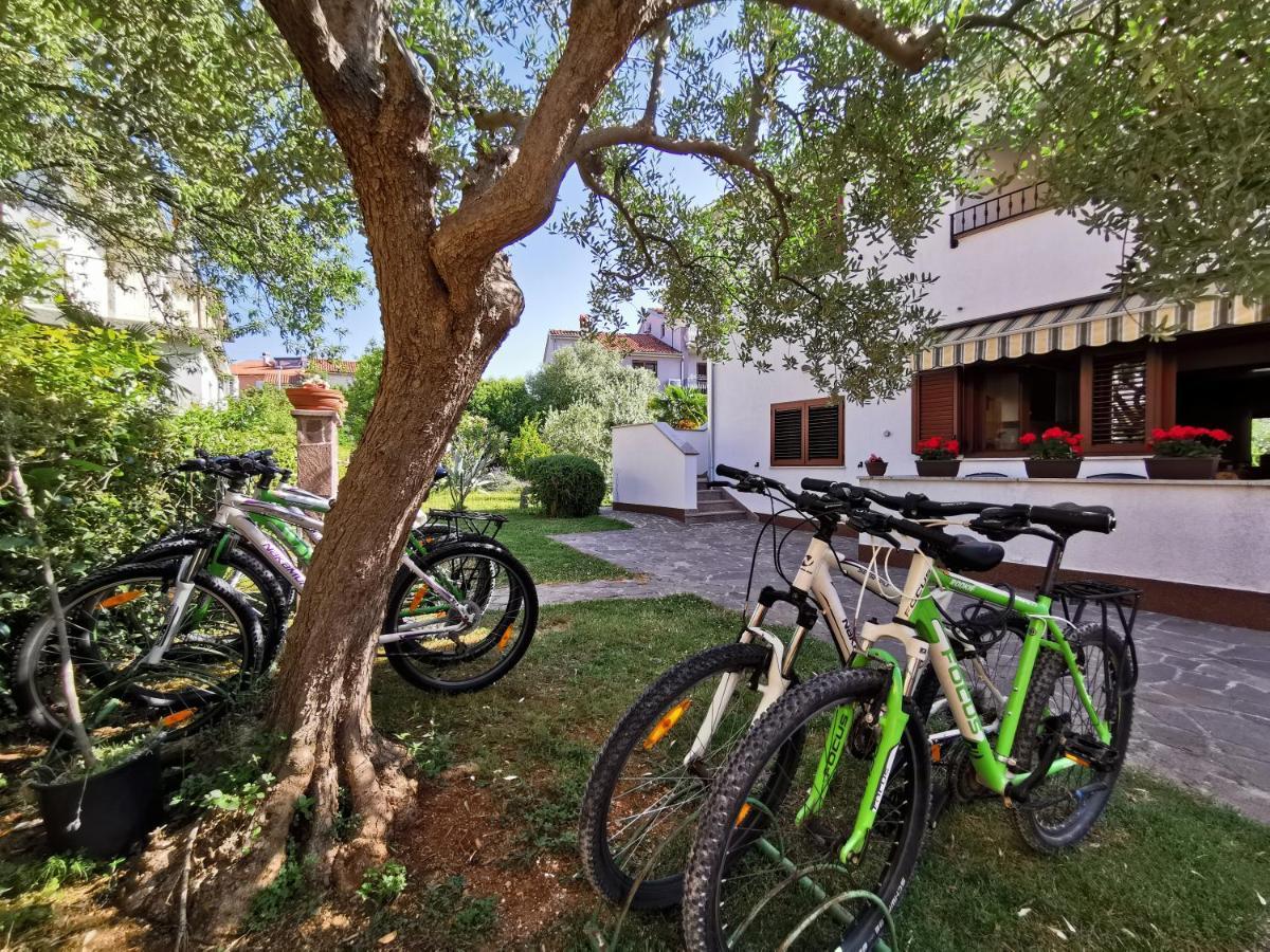 Medusa Apartment Rovinj